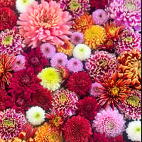 花手水ワークショップ〜フローティングフラワー〜8/20 午前の部　11:00〜