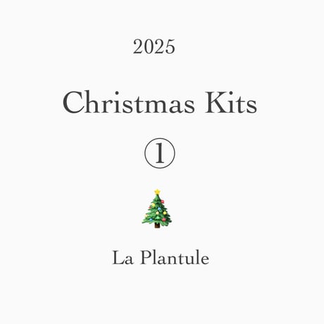 2025 クリスマスキット🎄①クリスマスリース　レッドベリーナチュラル　Mサイズ