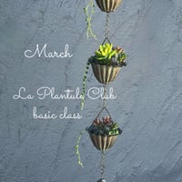 ✨再販✨3月　ラプランテュールオンラインクラブ＊ベーシッククラス＊　多肉植物のチェーンベル