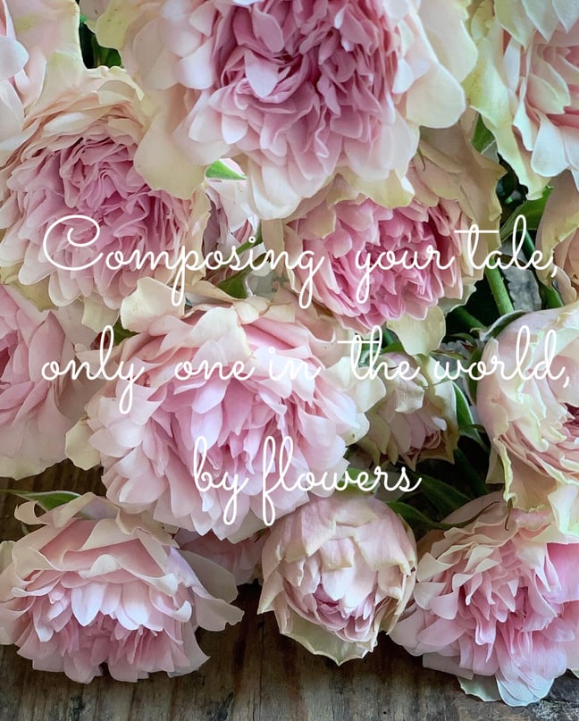 ドライフラワー素敵様専用】LeChien（ルシアン）2台セット TV 【公式通販】