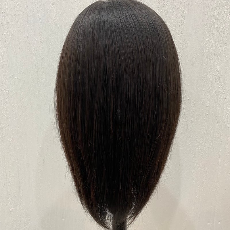 最終価格☆꒡̈⃝ 人毛100% レースウィッグ　 新品未使用 bbroom_fu091