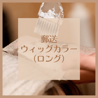 【郵送】ウィッグカラー(ロング)