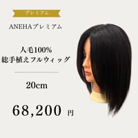 ANEHAプレミアム人毛100％ 総手植えフルウィッグ 20cm【自然色】 | 軽量・自然な分け目