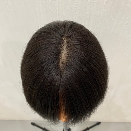 人毛100%　レースフロントフルウィッグ　20cm　|　自然な分け目・人工皮膚付き