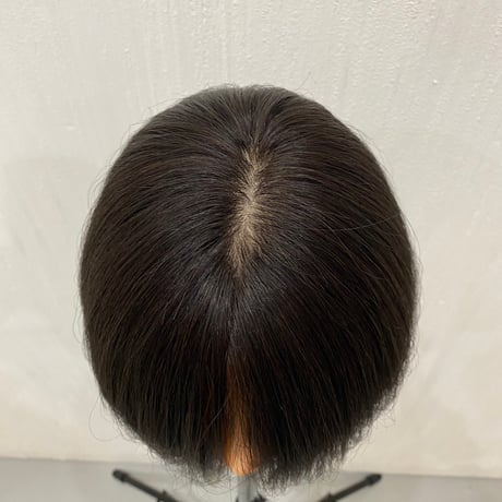 人毛100%　レースフロントフルウィッグ　20cm　|　自然な分け目・人工皮膚付き