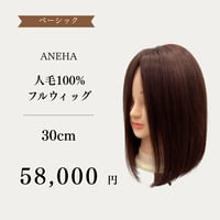 人毛100％　 レースフロントフルウィッグ　30cm　 |　自然な分け目・人工皮膚付き