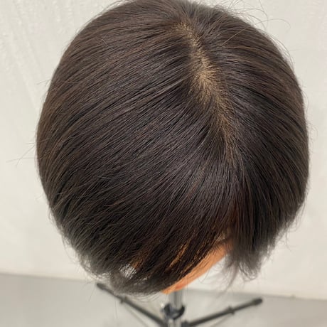 ANEHA ナチュラル人毛100％半手植えレースフロントフルウィッグ 25㎝　Mサイズ