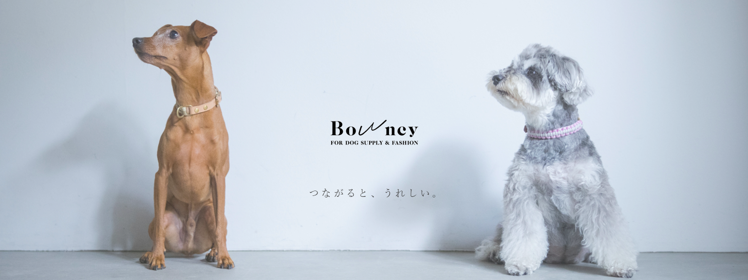 Bowncy