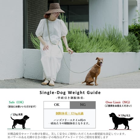 ハンズフリーリード *ダッケル・マロンベージュ*｜ Perfect Set