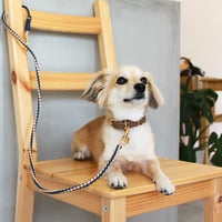 リード＆ストラップ *ダッケル・マロンベージュ*｜ 2WAYハンドリード
