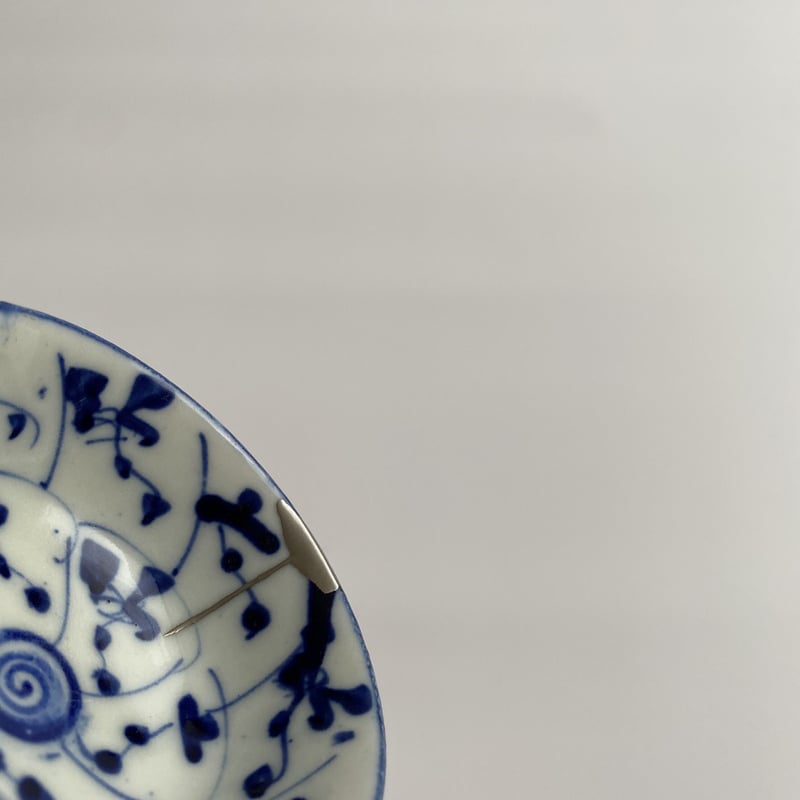 希少種 長期管理株 アデニア ペチュエリー 挿木 挿し木