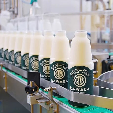 田園プラザ川場 のむヨーグルト 900ml×4本
