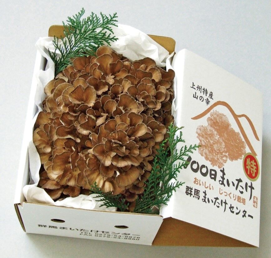 100日まいたけ 700g | gift shop tres eterno