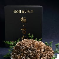 100日まいたけ　極・百式　2kg（1株作り）