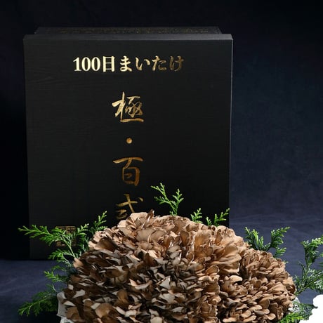100日まいたけ　極・百式　2kg（1株作り）