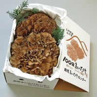 100日まいたけ　1kg（2株）
