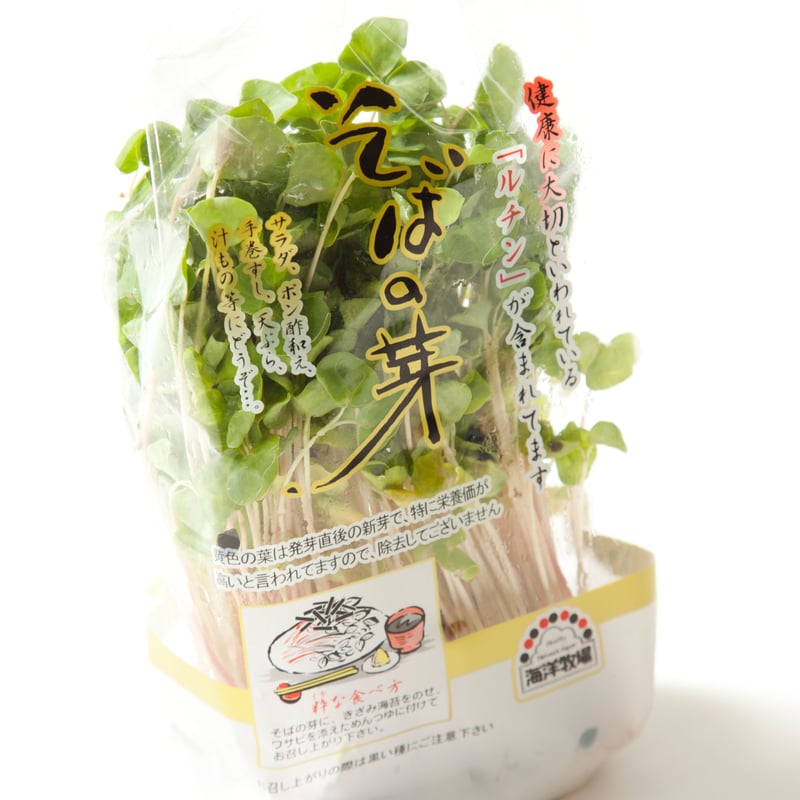 そばの芽 20パック入り | 不二バイオファーム