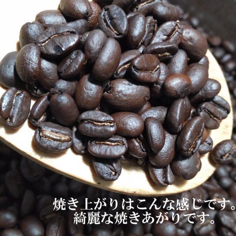 自家焙煎コーヒー 100g | TAKAHASHI COFFEE ROASTER