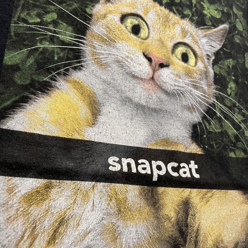 unknown アニマルプリント 自撮りな猫 半袖Tシャツ A152 | 古着屋Quest