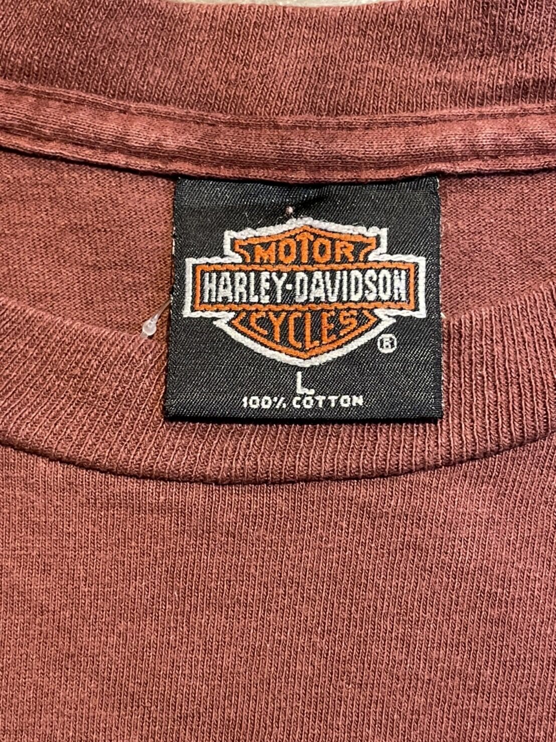 90s HARLEY-DAVIDSON ポケット付き プリントTシャツ アメリカ製 L えん...