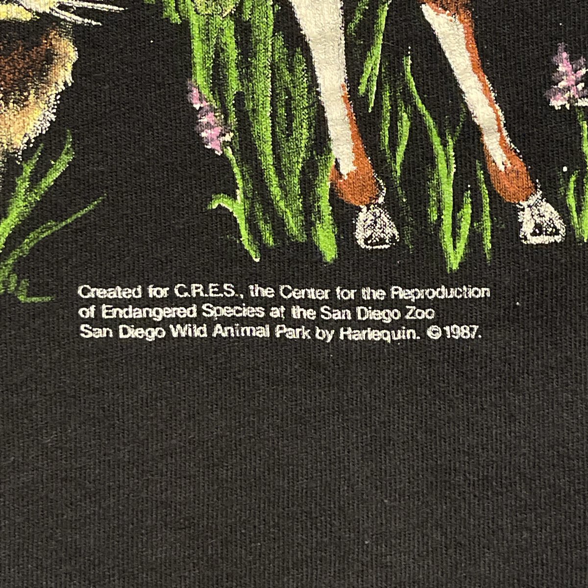 NFL フィラデルフィア・イーグルス Tシャツ XL 厚手生地 シングル