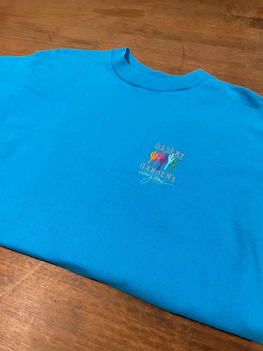 90s- ONEITA オニータ 刺繍 スーベニア 半袖 シングルステッチ Tシャツ 