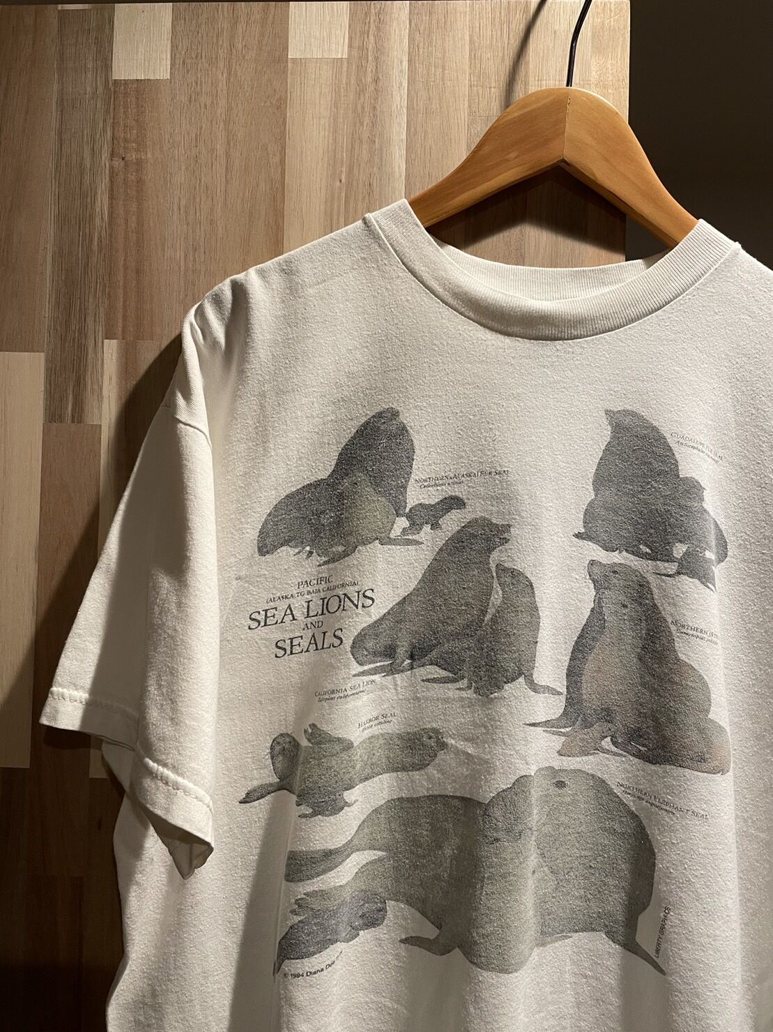 90s patagonia beneficial T's アメリカ製 オーガニック デザイン 