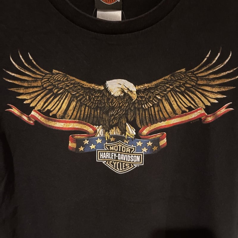 HARLEY-DAVIDSON ハーレー・ダビッドソン Tシャツ ブラック 両面