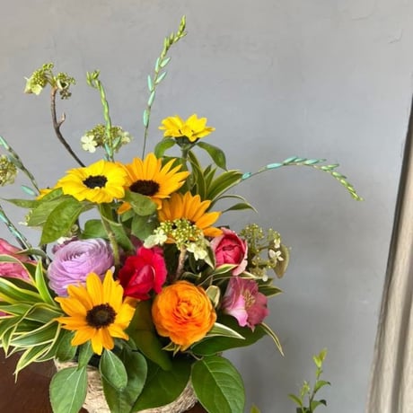 【札幌市内、北広島、江別、恵庭、南幌町のお届け】お祝いアレンジメント