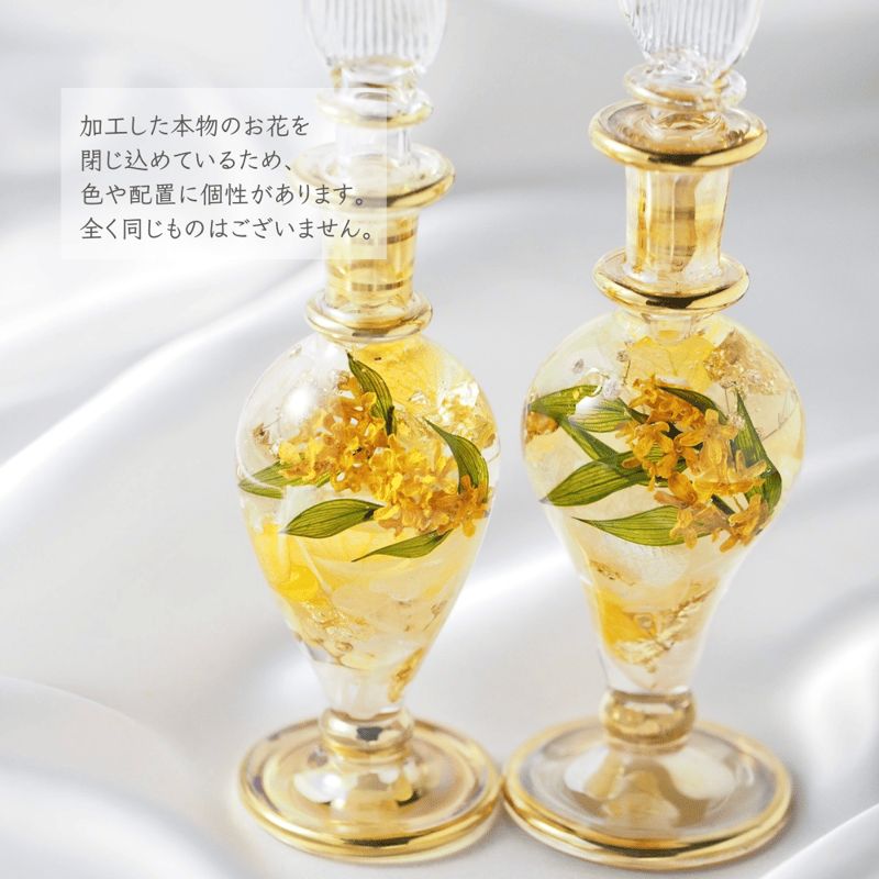 金彩じゃがいも文鉢 (未使用 新品同様) 金彩じゃがいも文鉢 (未使用 新品同様)
