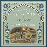 ハーブティープレゼント付き🌿25分タロット動画鑑定