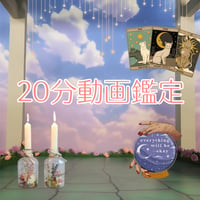 20分動画鑑定🃏