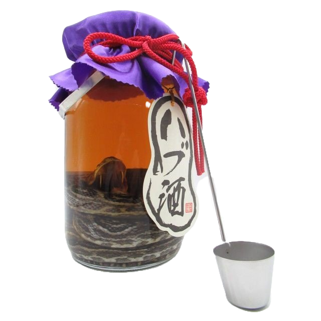 南都酒造所 ハブ入りハブ酒 35度 1800ml | 美ら泡盛SHOP