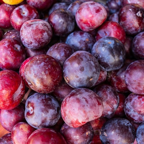 1kg プラム / PLUM