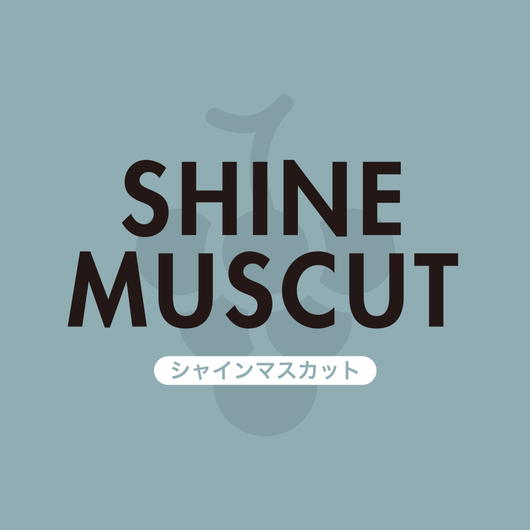 家庭用】1.6kg(4・5房) シャインマスカット / SHINE MUSCAT | sh