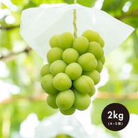 【贈答用】2kg(4・5房) シャインマスカット / SHINE MUSCAT