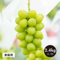 【家庭用】2.4kg(6・7房) シャインマスカット / SHINE MUSCAT
