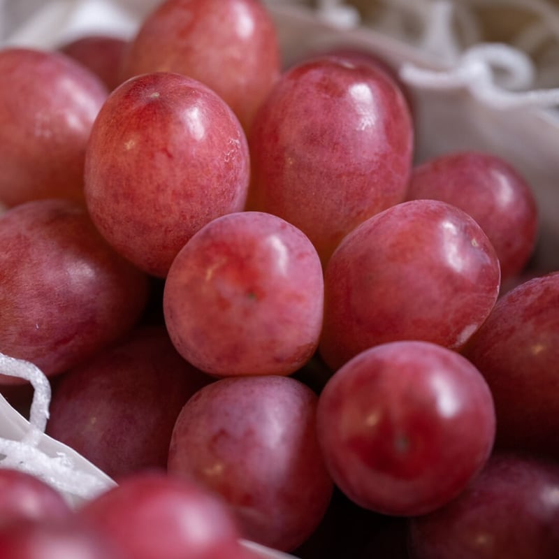 1kg (2房)クイーンルージュ®︎ / QUEEN ROUGE | shukoen naga