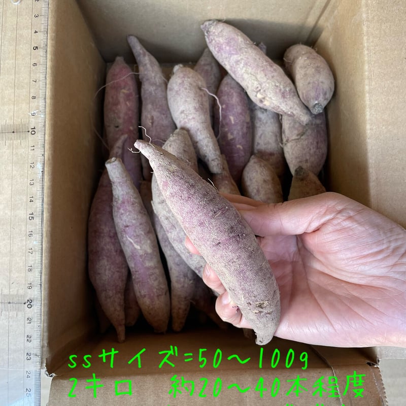 もーちゃん様専用さつまいも 規格外訳あり おまけ付き箱込み20キロ