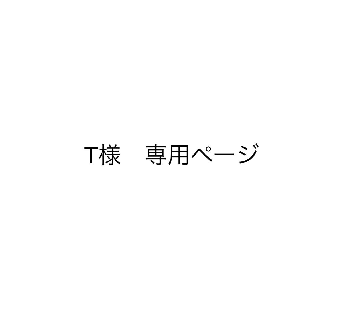 T様 専用ページ (他の方は購入されないようお気をつけ下さい