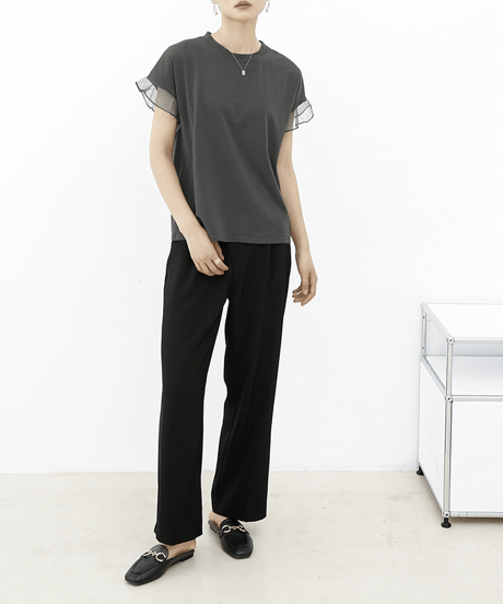 sheer sleeve top / 6color　hm2959