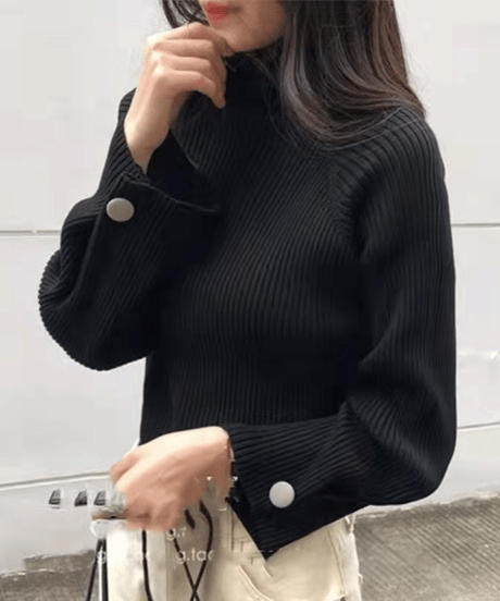 half turtle rib knit / 4color　hm1719
