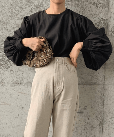 lantern sleeve blouse / 4color　hm2577
