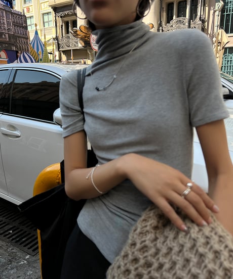 high neck short sleeve top / 2color　hm1256