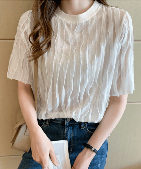 sheer pleated top / 2color　hm2969