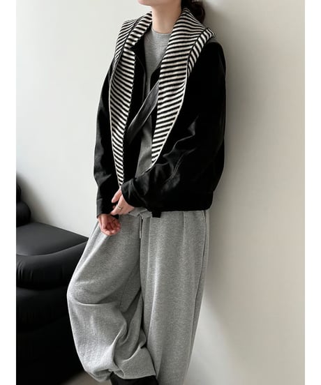 stand collar blouson / 2color　hm2739