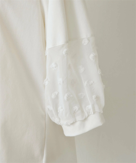 sheer sleeve top / 2color　hm2983