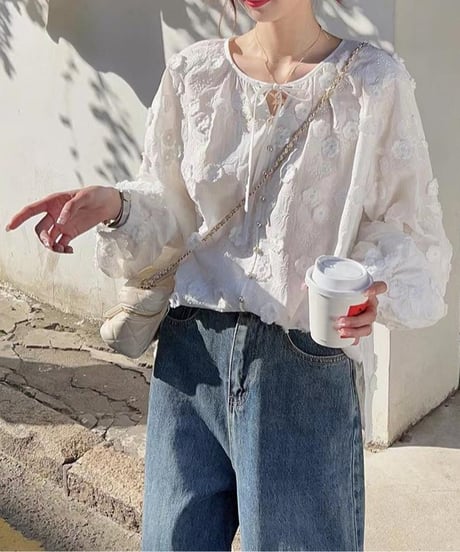 embroidered sheer blouse　hm2928
