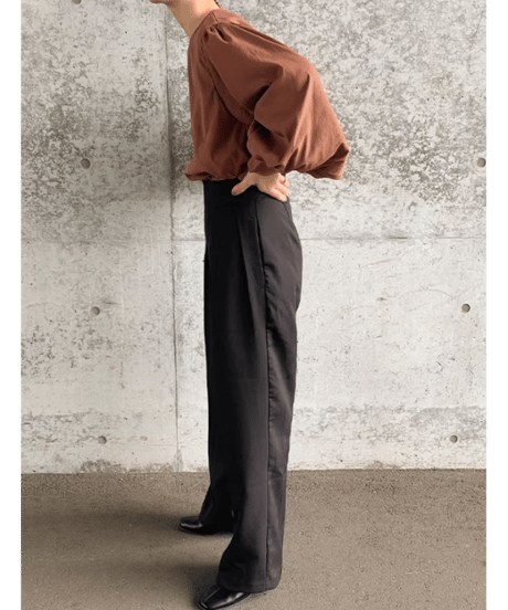 lantern sleeve blouse / 4color　hm2577