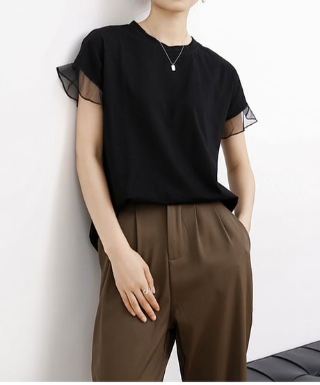 sheer sleeve top / 6color　hm2959